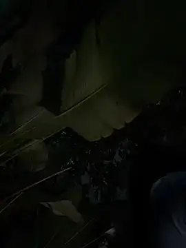 SofiaWildee