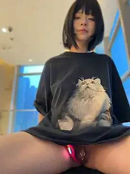MeimoDog - 户外座位喷水