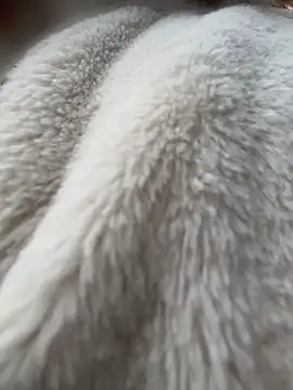 LisaCatt - fucking yourself in the doggy position