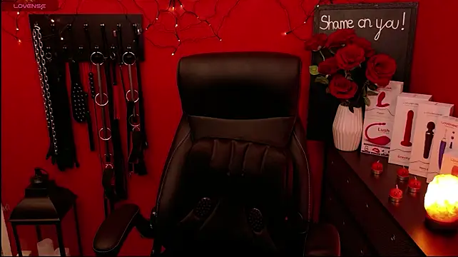 _MissJaneWarren_ - 🎮 5 Min Toy Control