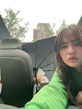 Huihui_520