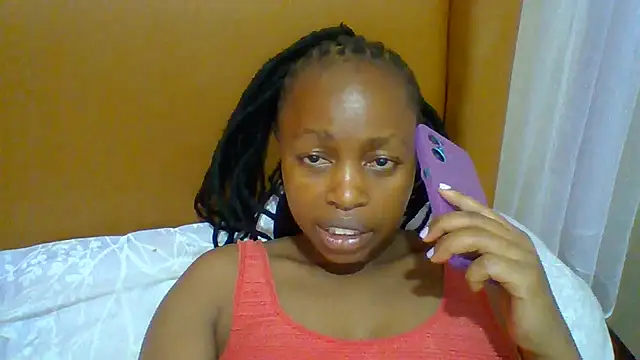 Missallan