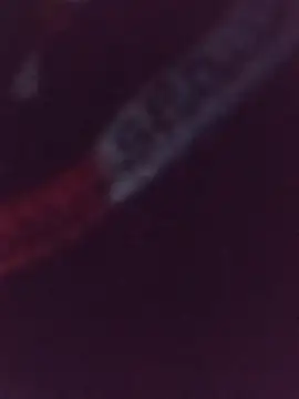 Lisbeht_21 - Show Vibrador <3