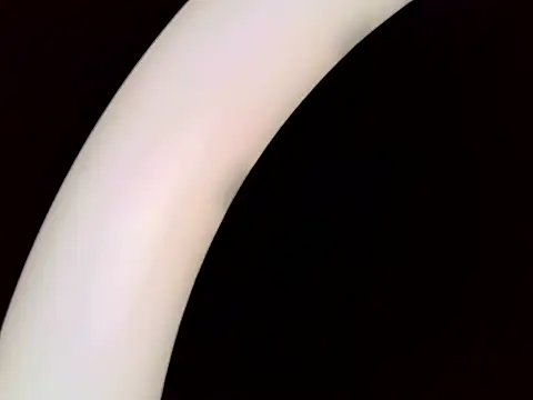 SHIVANGI_SHARMA - one min dance