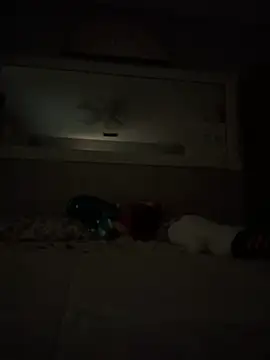 SweetBabyPaigee - Make me shake it 🤍