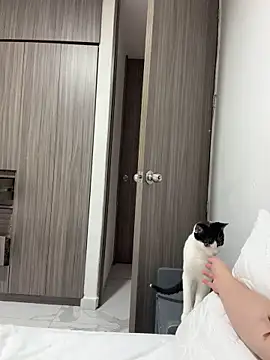 Daniela_ruizz - Finger in ass + plug+control lovensex3