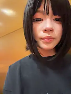 MeimoDog - 户外座位喷水