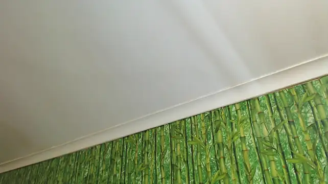 HairyQuinn - BIG SQUIRT with DILDO