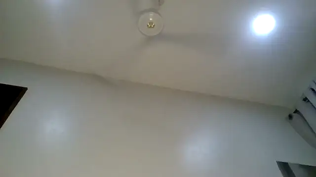 Sweet_sassy_ - OIL ASS.TWERK