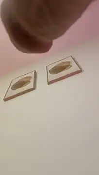 Mia_222
