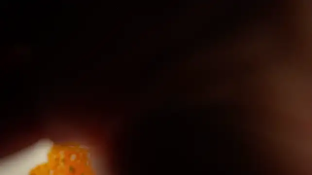 HappyLisa - flash breast