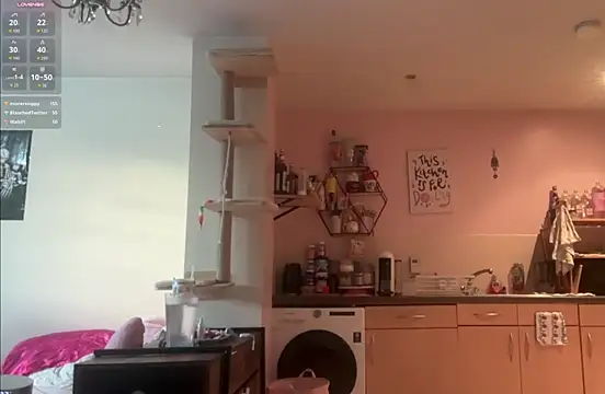 Pinkiepiexo - PUSSY FLASH