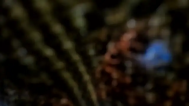 Samantha_mature_