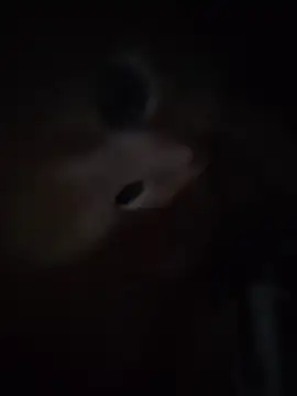 Luna_Moonfang - oil boobs