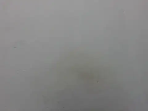 Black_beauty7 - squirt and cum