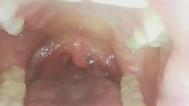 Karol_stom - PLUG MY ASS