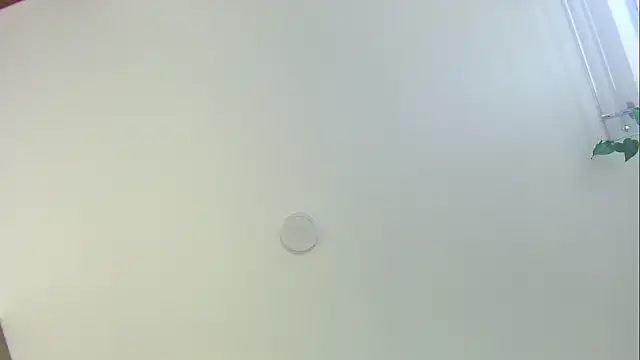 Sorpresa_x - 3 hot videos, squirt, jumping dildo+🎁