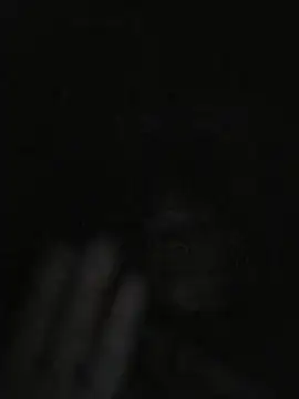Ass_open11