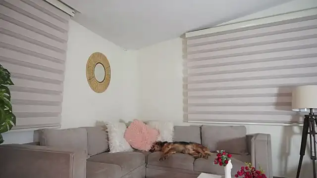 Miss_meii - Sexy blowjob