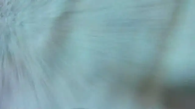 PureFire20 - fuck doggy + show tits