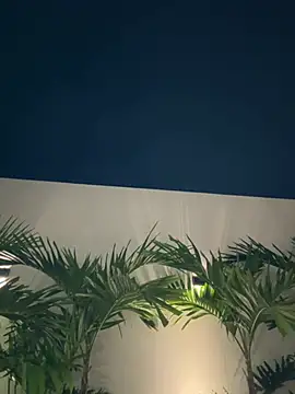 Nikii__ - Holis niki linda