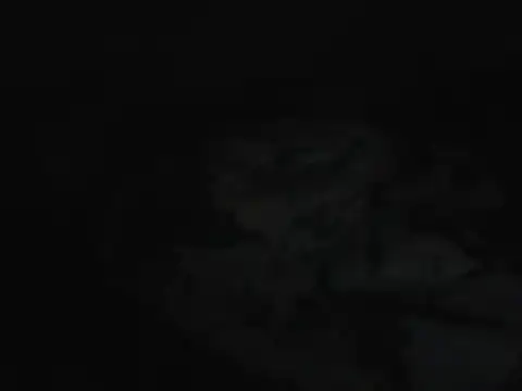 Bootyebonie - Anything for you Dzaddy