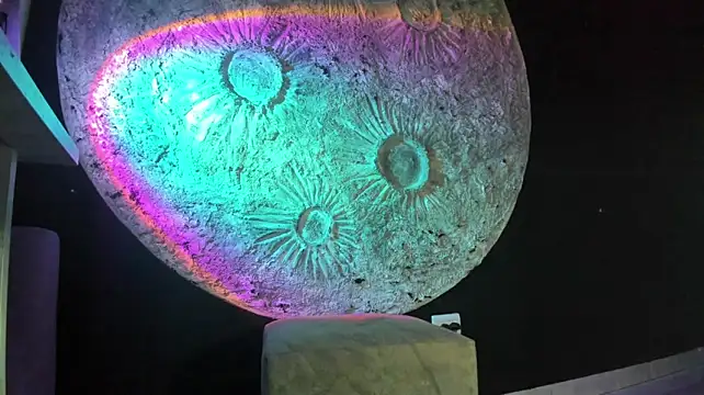 Sereia_7777 - DIA DE EJERCICIO