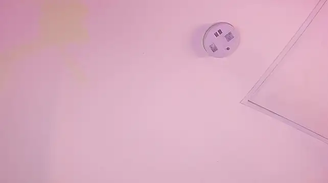 Megan_woll - spank my ass till its red