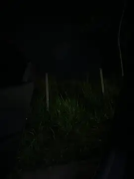 Licky_lu - Masturbation in uber😳🔥