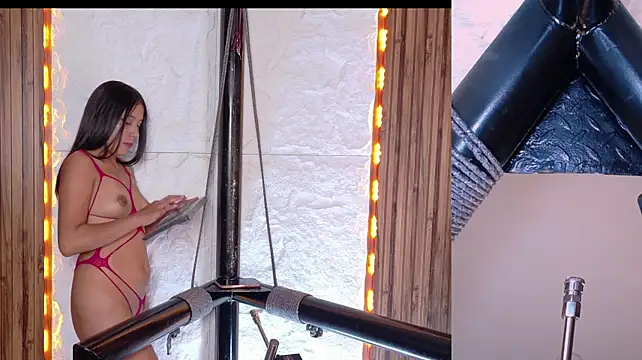 Lesdom_Bdsm
