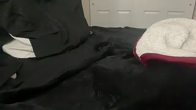 Sexykitt3nn - Todays Goal