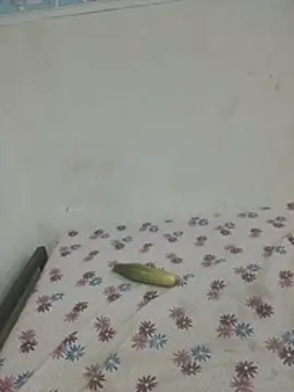 Shivani_hot1