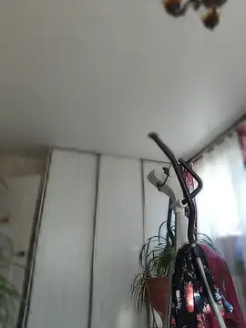 EffectFiona