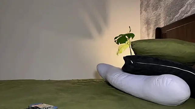 MeowLili