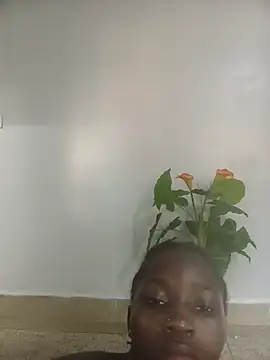TheaWren