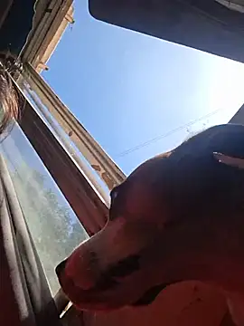 Wild_Witch - Finger ass