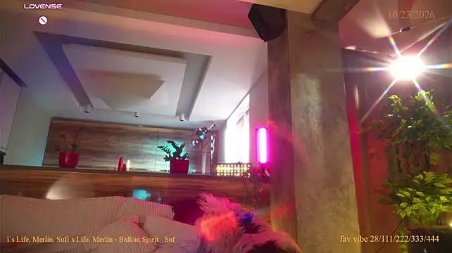 Vse_sukki - naked doggy show
