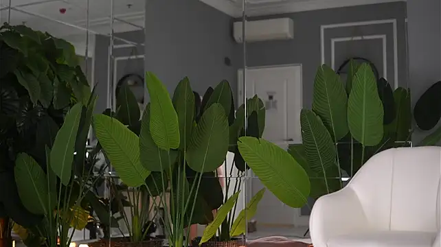 AvaReedX - Pussy play and sweet moaning