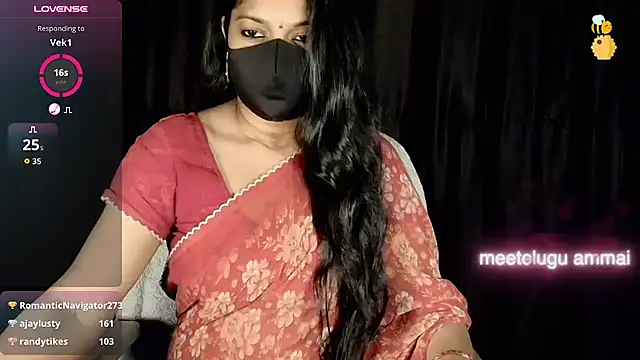 Hoiney_nehanreddy