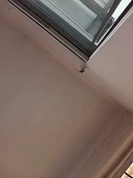 ShyNaughtyBabe