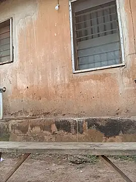 Christmaco