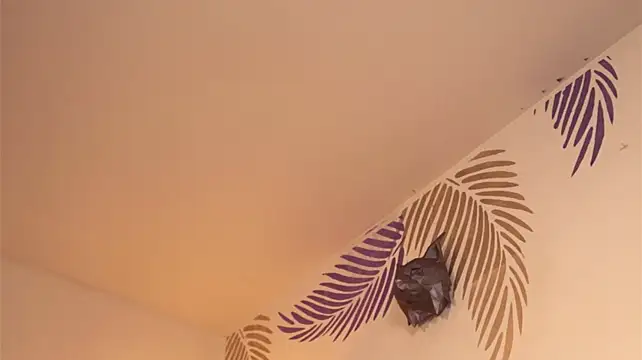 Justnala_ - Shake and spank to red ass