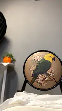 Gugu-_a - 完成任务，震动棒插入骚穴3分钟