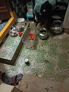 Telugucpl66 - House