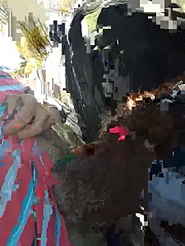Marchigiana - SQUIRT PUBLIC HARD WIN 2 VIDEO