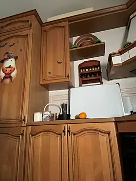YourLittleDevil - Toy control + video