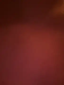 South_Carolina - NORA TOY IN ASSSSSS
