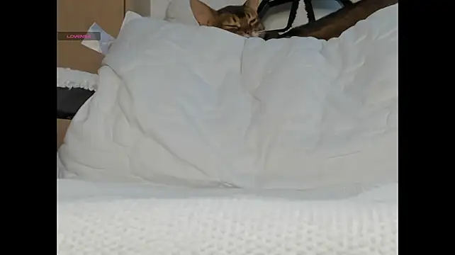 ElunorLIve - finger inside my tight pussy
