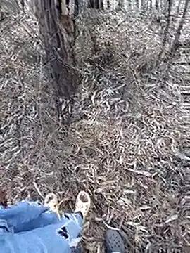 Missionary_lords - Fuck in doggy for 3mins🥵🍆🍑💦💦