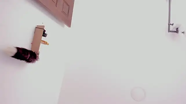 Demy_Rhoades - Bounce my boobs for u 😈🥵🥵
